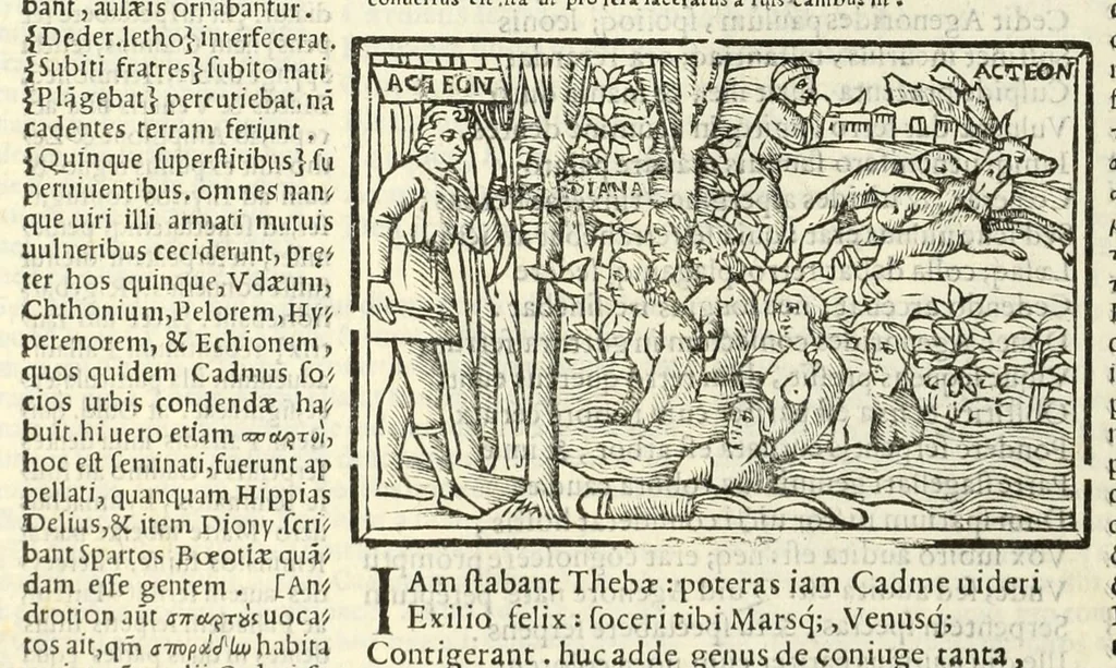 An illustration from P. Ouidij Nasonis Metamorphoseon libri XV, 1565, leaf 108