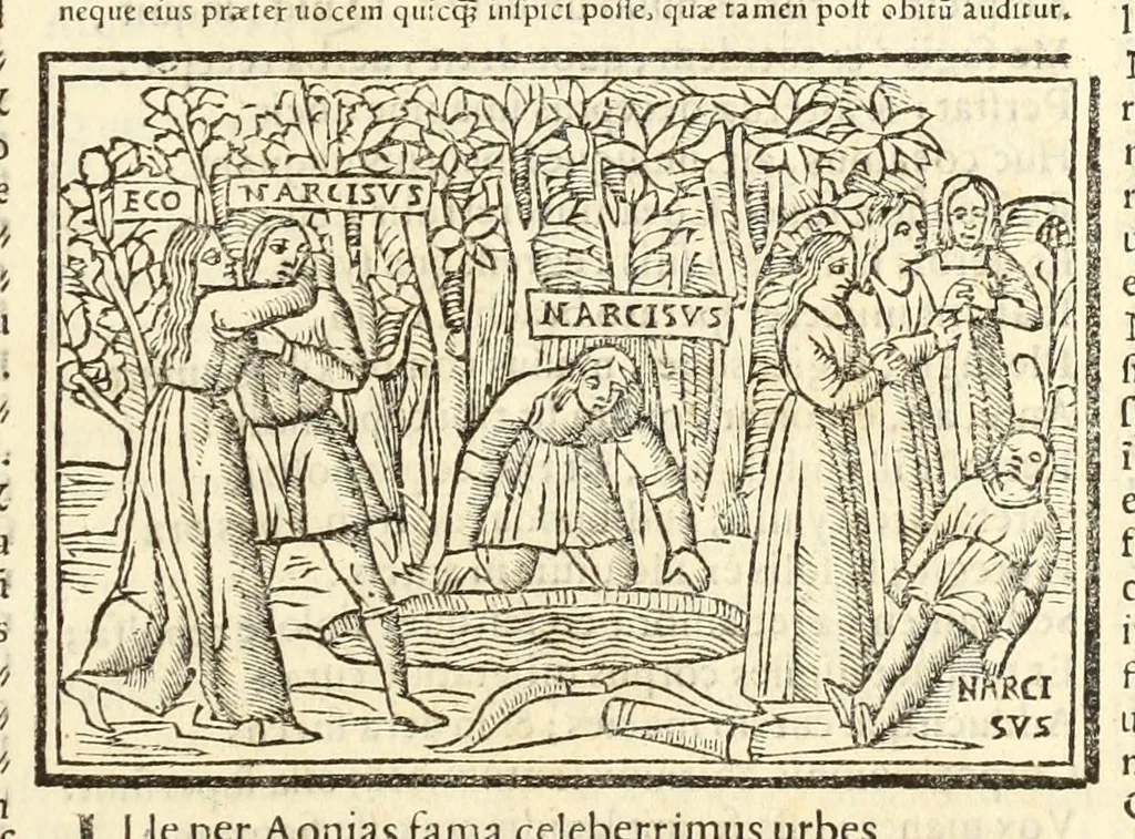 An illustration from P. Ouidij Nasonis Metamorphoseon libri XV, 1565, leaf 117
