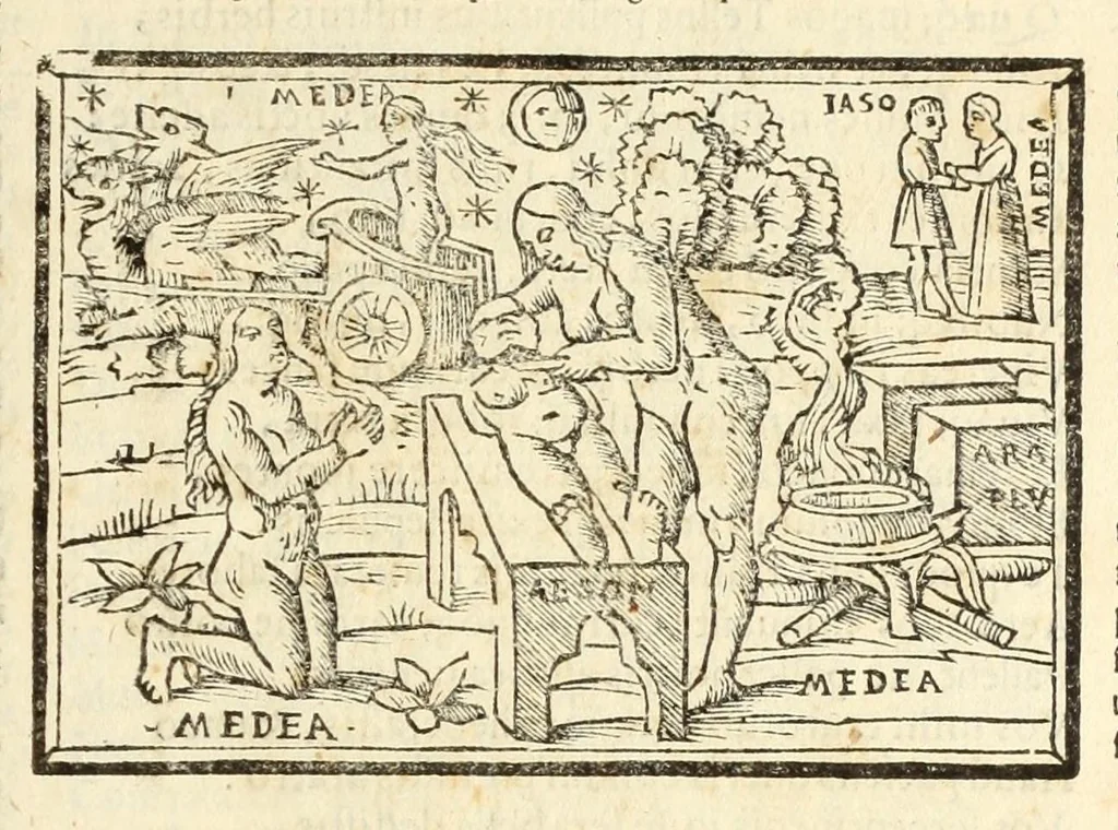 An illustration from P. Ouidij Nasonis Metamorphoseon libri XV, 1565, leaf 217