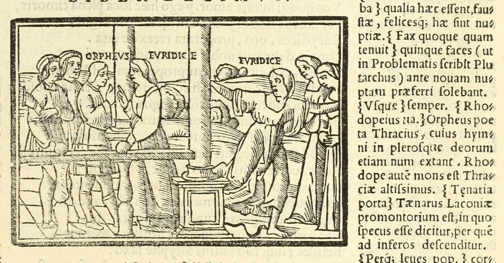 An illustration from P. Ouidij Nasonis Metamorphoseon libri XV, 1565, leaf 299