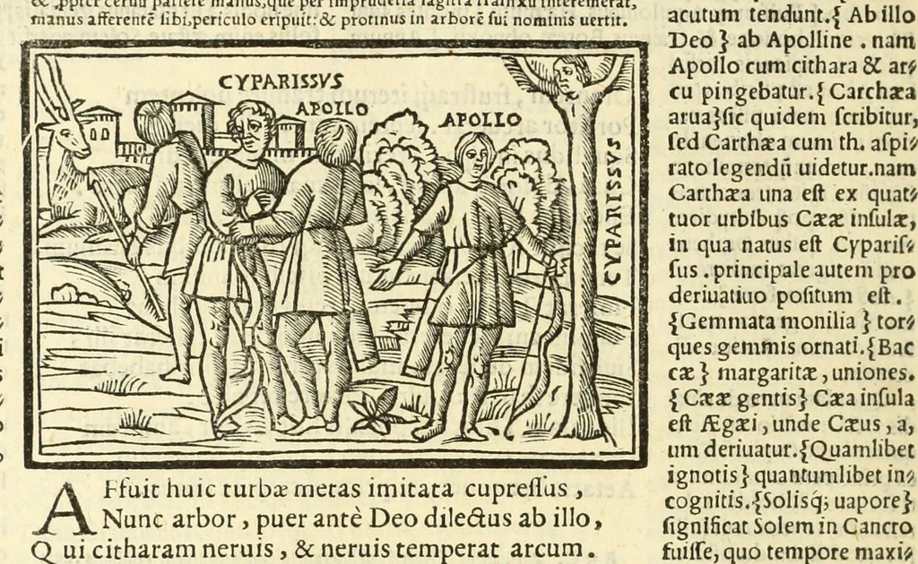 An illustration from P. Ouidij Nasonis Metamorphoseon libri XV, 1565, leaf 302