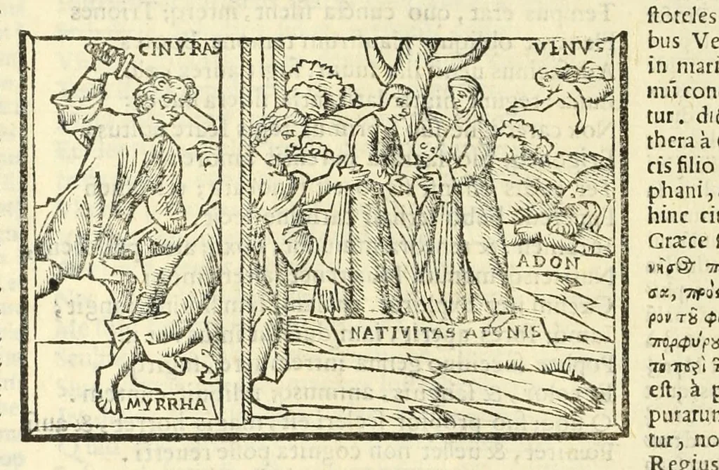An illustration from P. Ouidij Nasonis Metamorphoseon libri XV, 1565, leaf 312