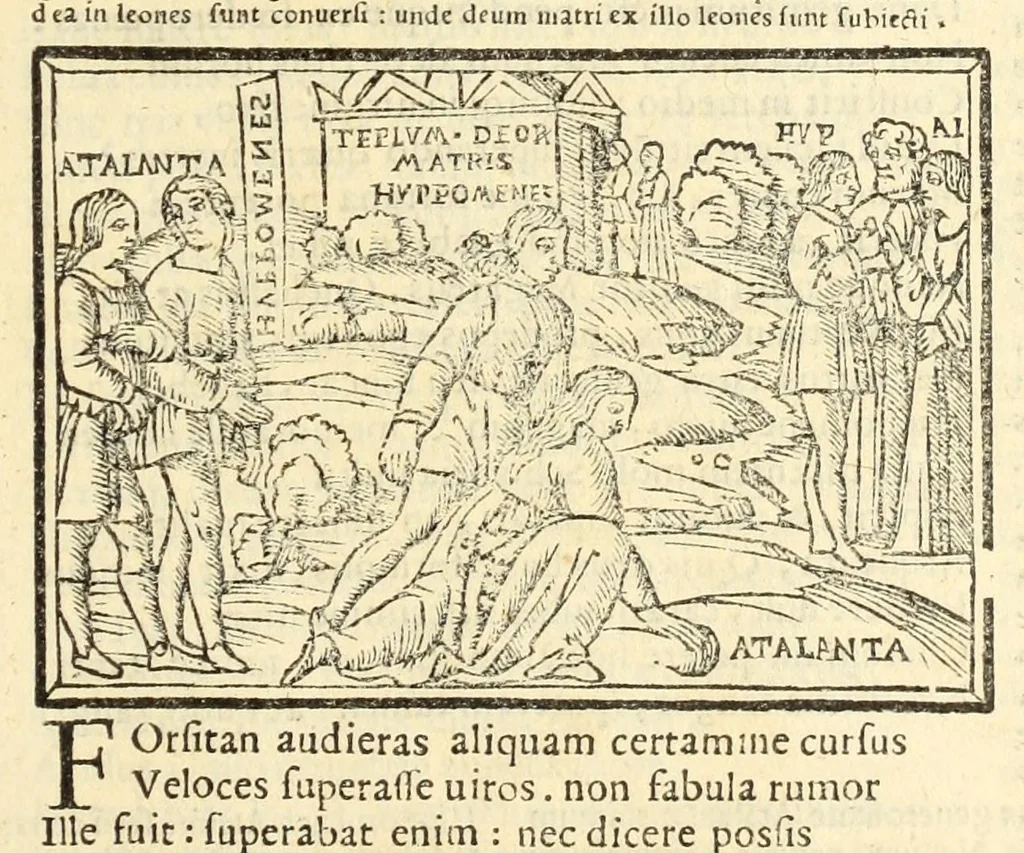 An illustration from P. Ouidij Nasonis Metamorphoseon libri XV, 1565, leaf 313