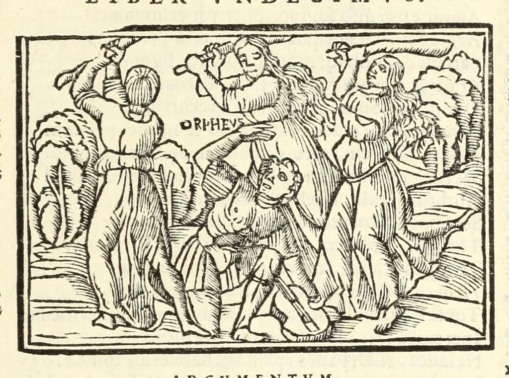 An illustration from P. Ouidij Nasonis Metamorphoseon libri XV, 1565, leaf 319