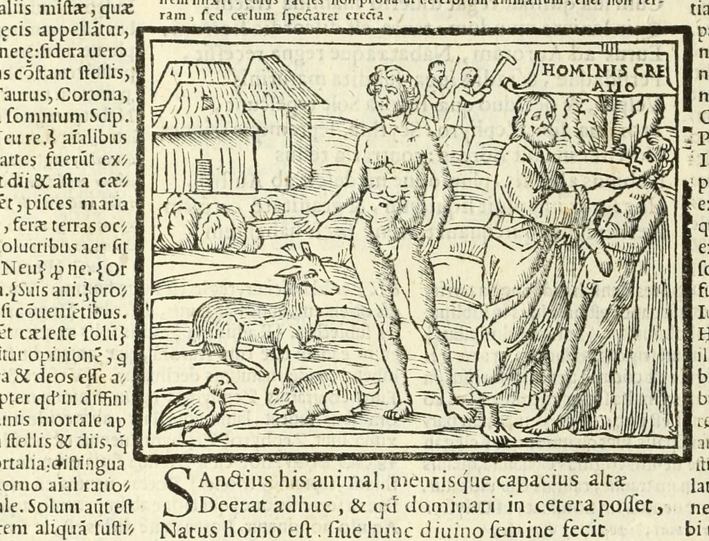 An illustration from P. Ouidij Nasonis Metamorphoseon libri XV, 1565, leaf 32