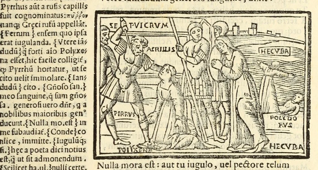 An illustration from P. Ouidij Nasonis Metamorphoseon libri XV, 1565, leaf 373