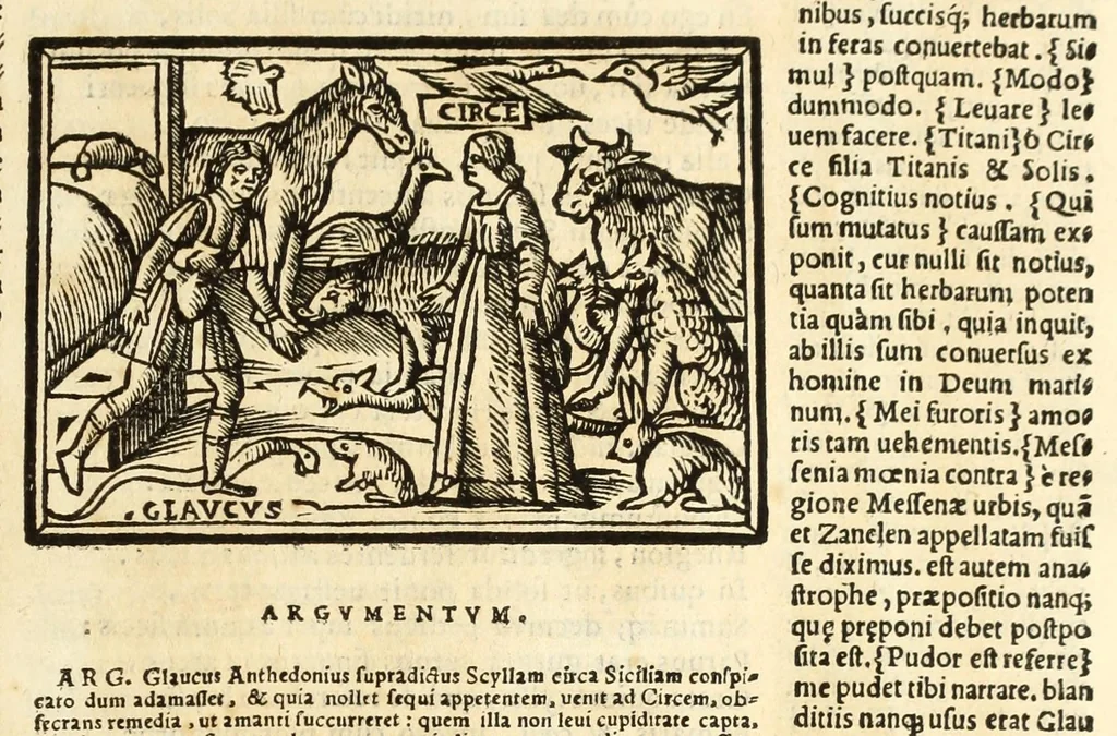 An illustration from P. Ouidij Nasonis Metamorphoseon libri XV, 1565, leaf 391