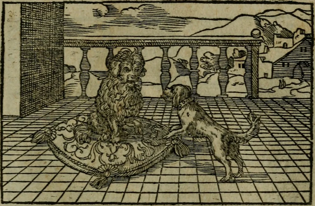 An illustration from Povrtraits divers, 1557, leaf 50