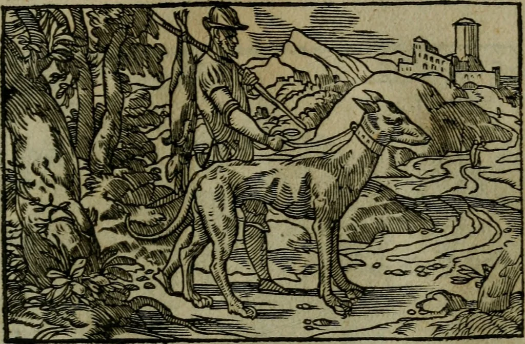 An illustration from Povrtraits divers, 1557, leaf 54