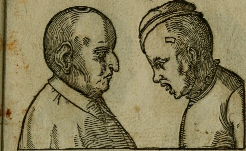 An illustration from Povrtraits divers, 1557, leaf 84