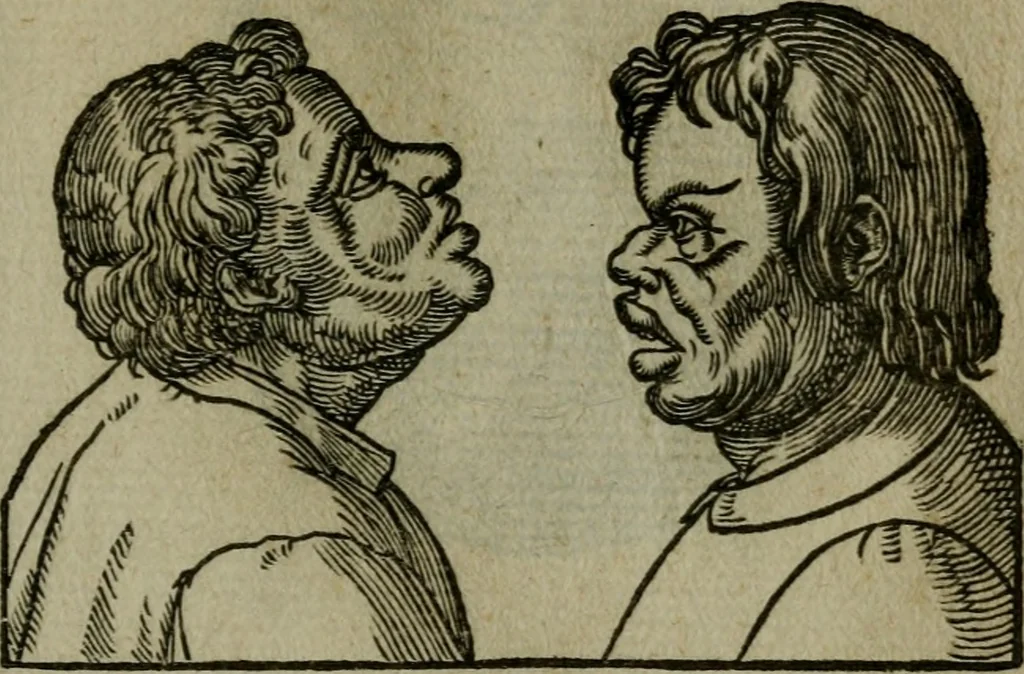 An illustration from Povrtraits divers, 1557, leaf 98