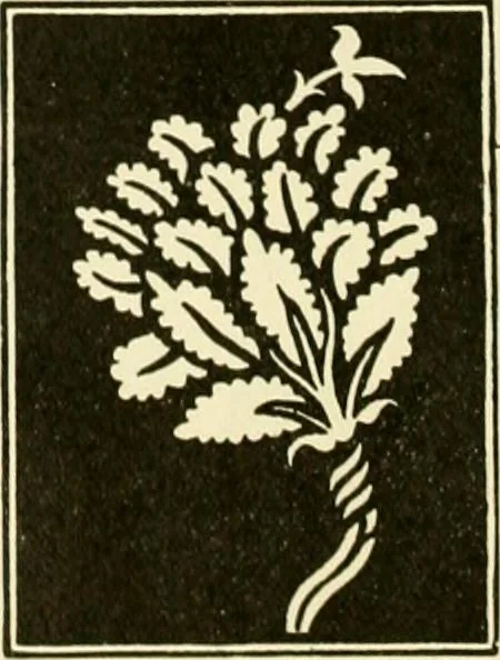 An illustration from Powell's practical advertiser : a practical work for advertising writers and business men, with instruction on planning, preparing, placing and managing modern publicity, 1905, leaf 57
