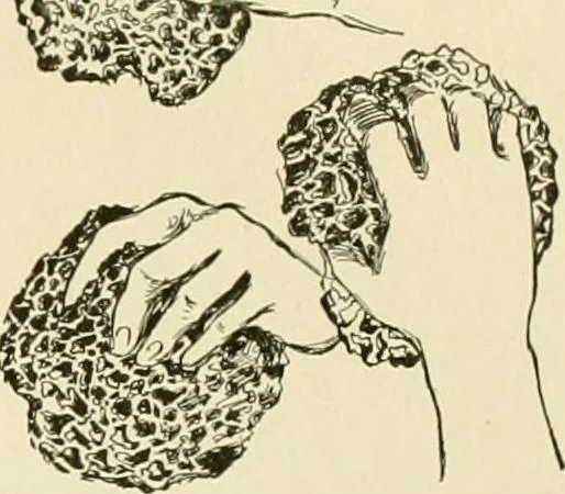 An illustration from Powell's practical advertiser : a practical work for advertising writers and business men, with instruction on planning, preparing, placing and managing modern publicity, 1905, leaf 76