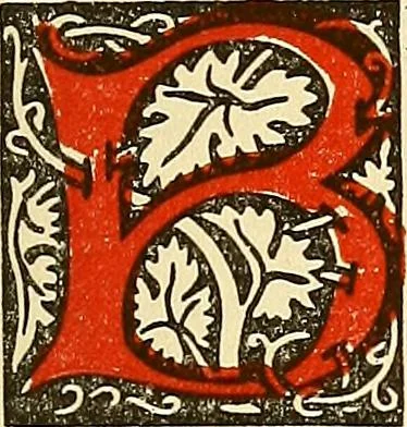 An illustration from Power for success thorough culture of vibrant magnetism, 1920, leaf 278