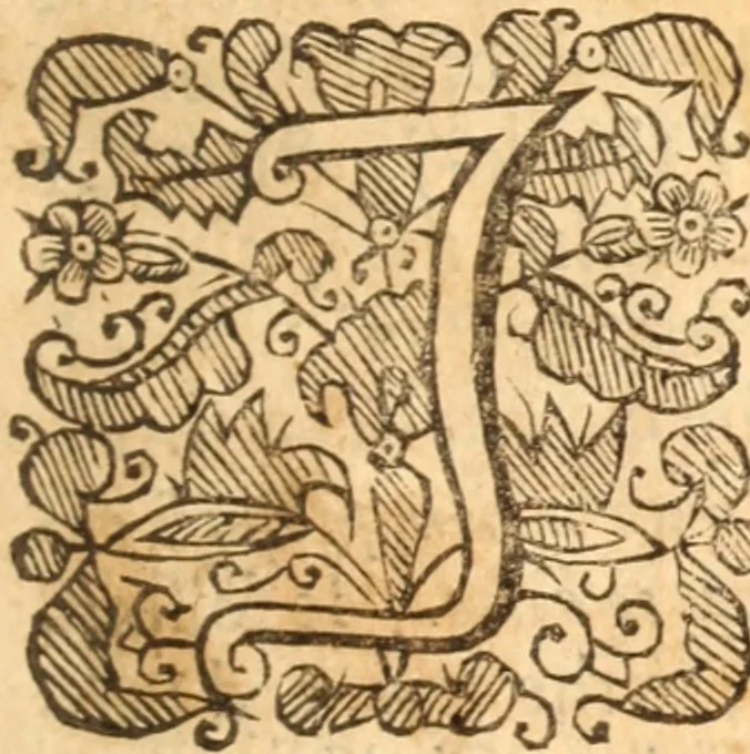 An illustration from A practical commentary, or, An exposition with notes upon the Epistle of James : delivered in sundry weekly lectures at Stoke-Newington in Middlesex, near London, 1657, leaf 22