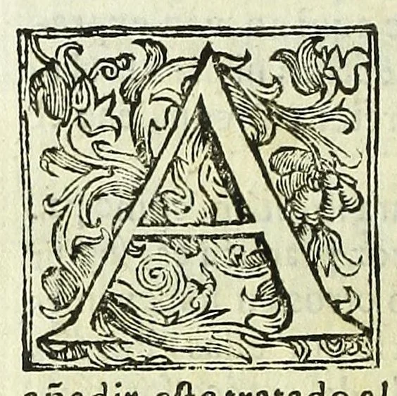 An illustration from Practica de visitas, y residencias apropriada a los Reynos del Perù. y deducida de loque en ellos se estila ... que con devoto rendimiento consagra a la Virgen Sanctissima ensu sancta casa de Loreto .., 1646, leaf 182