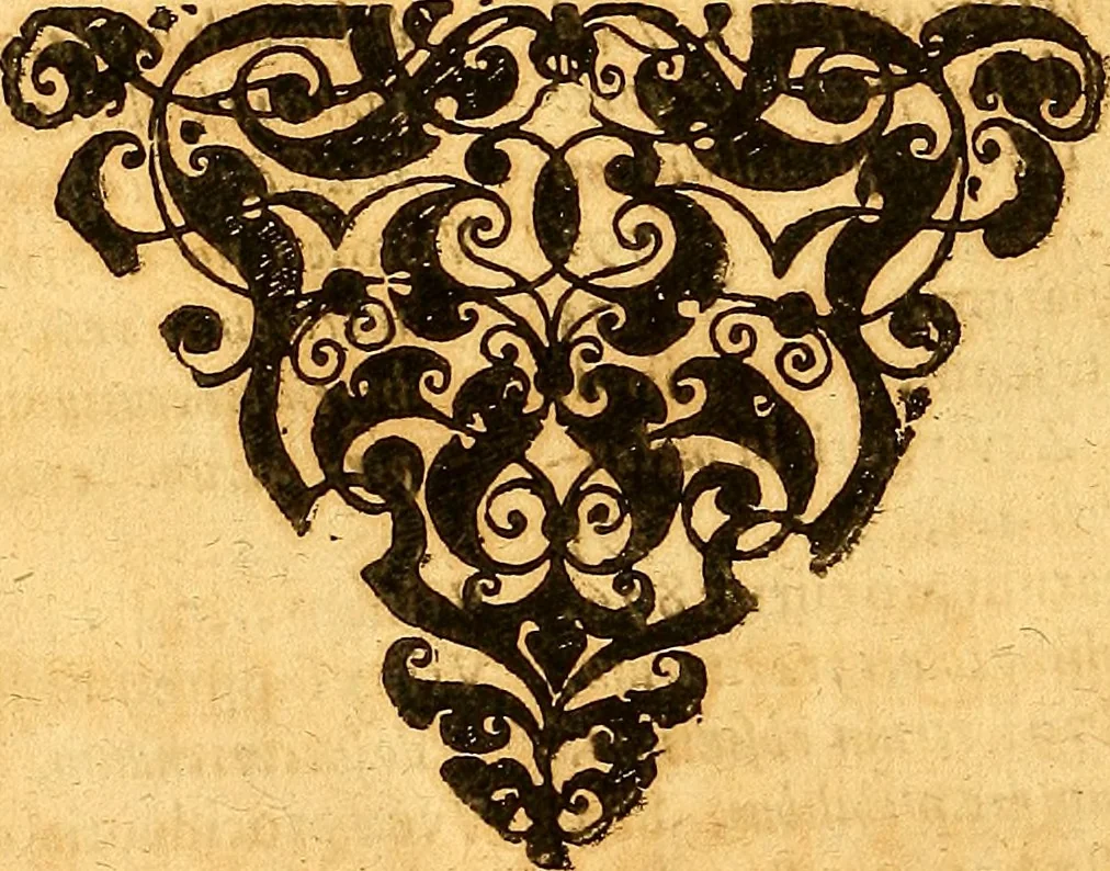 An illustration from Practicae medicinae liber primus [-secundus], 1654, leaf 1029