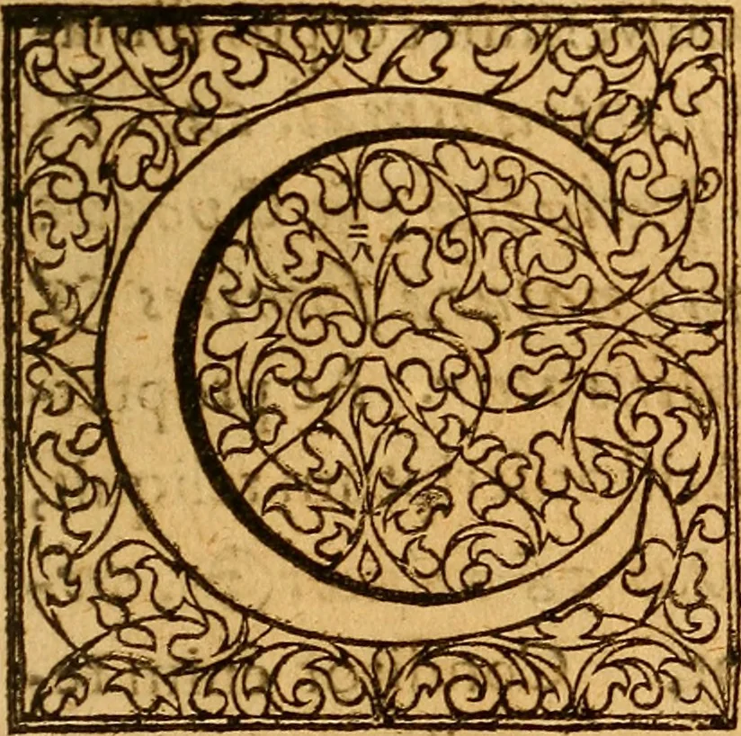 An illustration from Practicae medicinae liber primus [-secundus], 1654, leaf 1034
