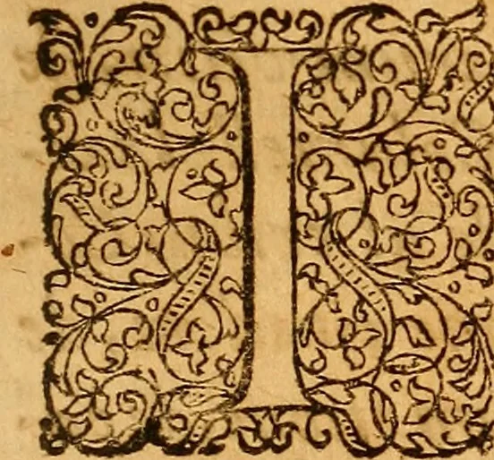 An illustration from Practicae medicinae liber primus [-secundus], 1654, leaf 1046