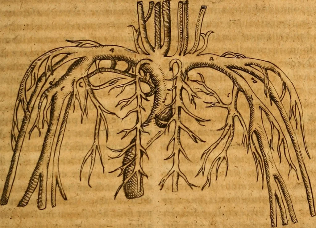An illustration from Practicae medicinae liber primus [-secundus], 1654, leaf 1286