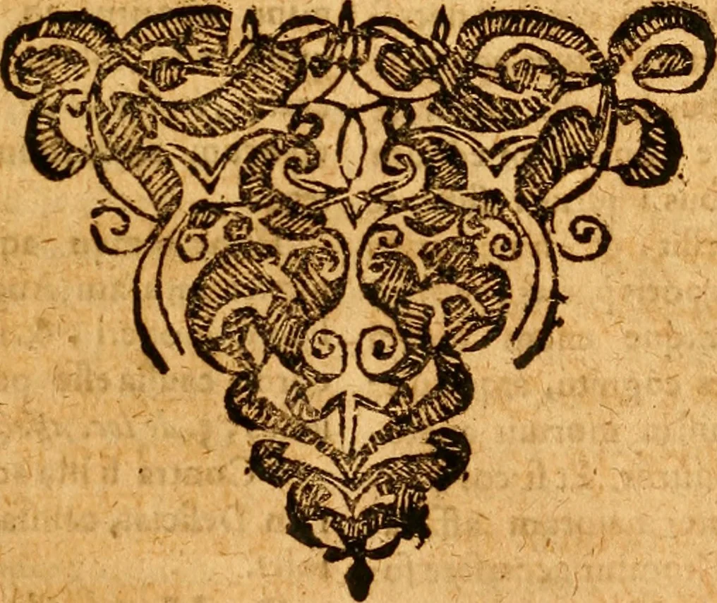 An illustration from Practicae medicinae liber primus [-secundus], 1654, leaf 1434