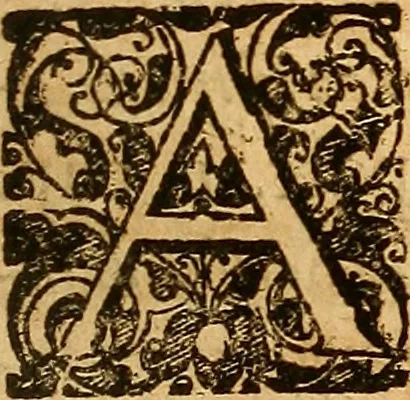 An illustration from Practicae medicinae liber primus [-secundus], 1654, leaf 256