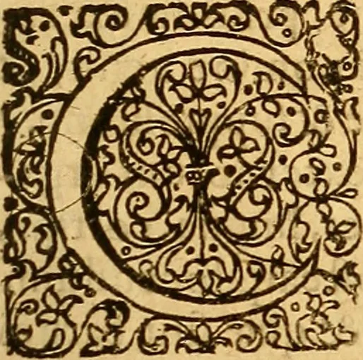 An illustration from Practicae medicinae liber primus [-secundus], 1654, leaf 36