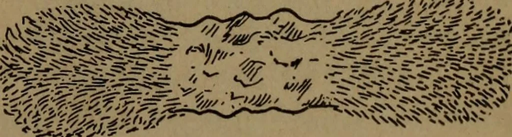 An illustration from Practical applied electricity; a book in plain English, for the practical man. Theory, practical applications and examples, 1911, leaf 88