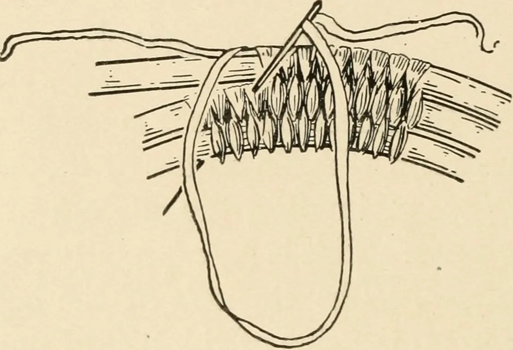 An illustration from Practical and artistic basketry, 1904, leaf 109