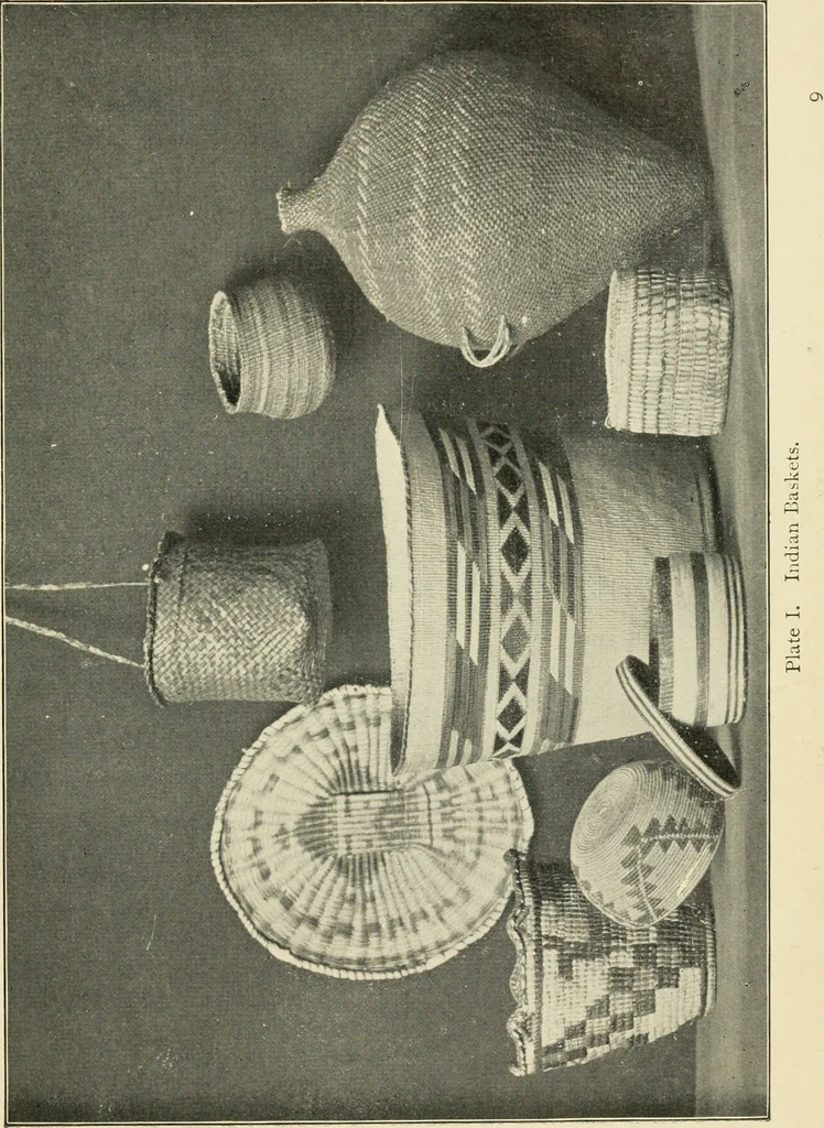 An illustration from Practical and artistic basketry, 1904, leaf 12