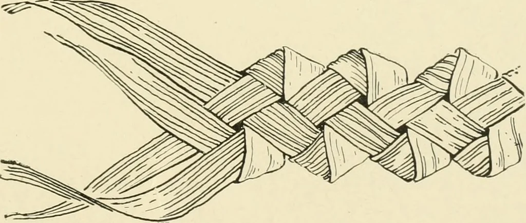 An illustration from Practical and artistic basketry, 1904, leaf 120