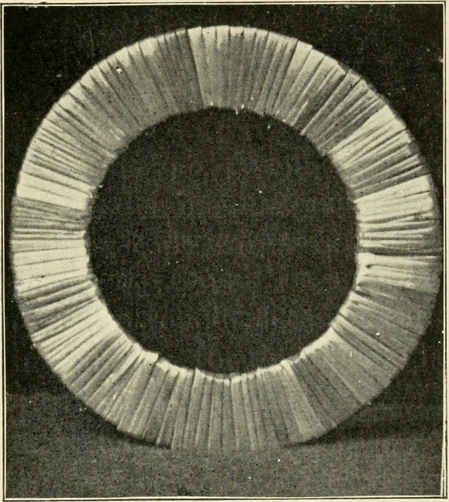 An illustration from Practical and artistic basketry, 1904, leaf 124