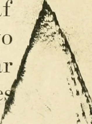 An illustration from Practical and artistic basketry, 1904, leaf 18