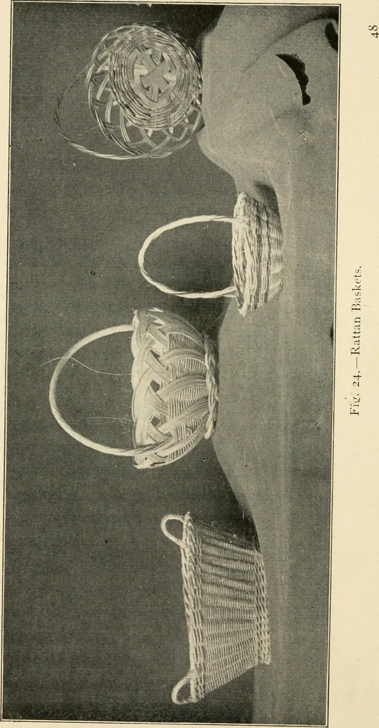 An illustration from Practical and artistic basketry, 1904, leaf 51