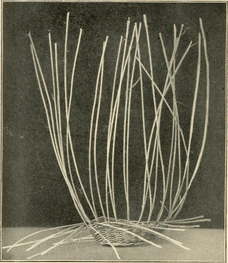 An illustration from Practical and artistic basketry, 1904, leaf 61