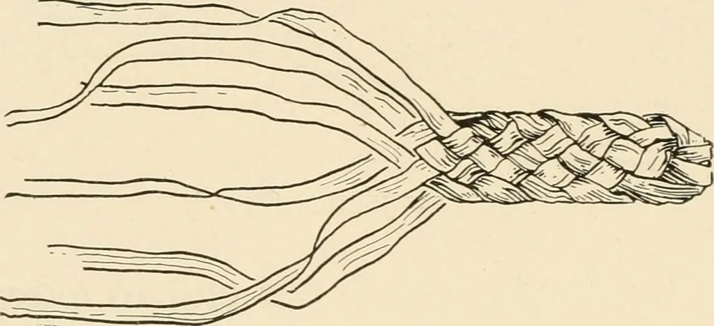 An illustration from Practical and artistic basketry, 1904, leaf 67