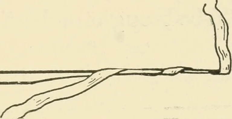 An illustration from Practical and artistic basketry, 1904, leaf 78
