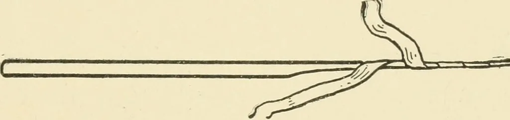 An illustration from Practical and artistic basketry, 1904, leaf 78