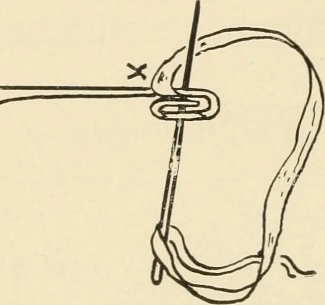 An illustration from Practical and artistic basketry, 1904, leaf 79
