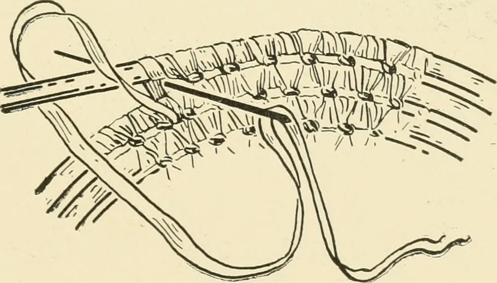 An illustration from Practical and artistic basketry, 1904, leaf 80