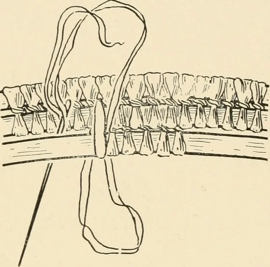 An illustration from Practical and artistic basketry, 1904, leaf 93