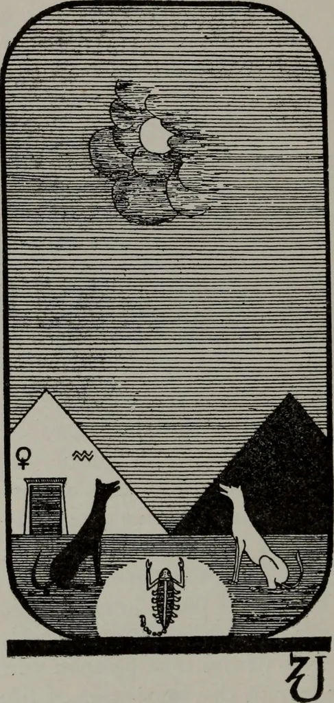 An illustration from Practical astrology : a simple method of casting horoscopes : and language of the stars easily comprehended, 1901, leaf 221