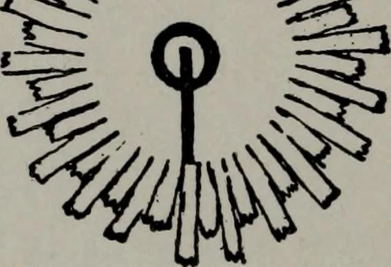 An illustration from Practical astrology : a simple method of casting horoscopes : and language of the stars easily comprehended, 1901, leaf 223
