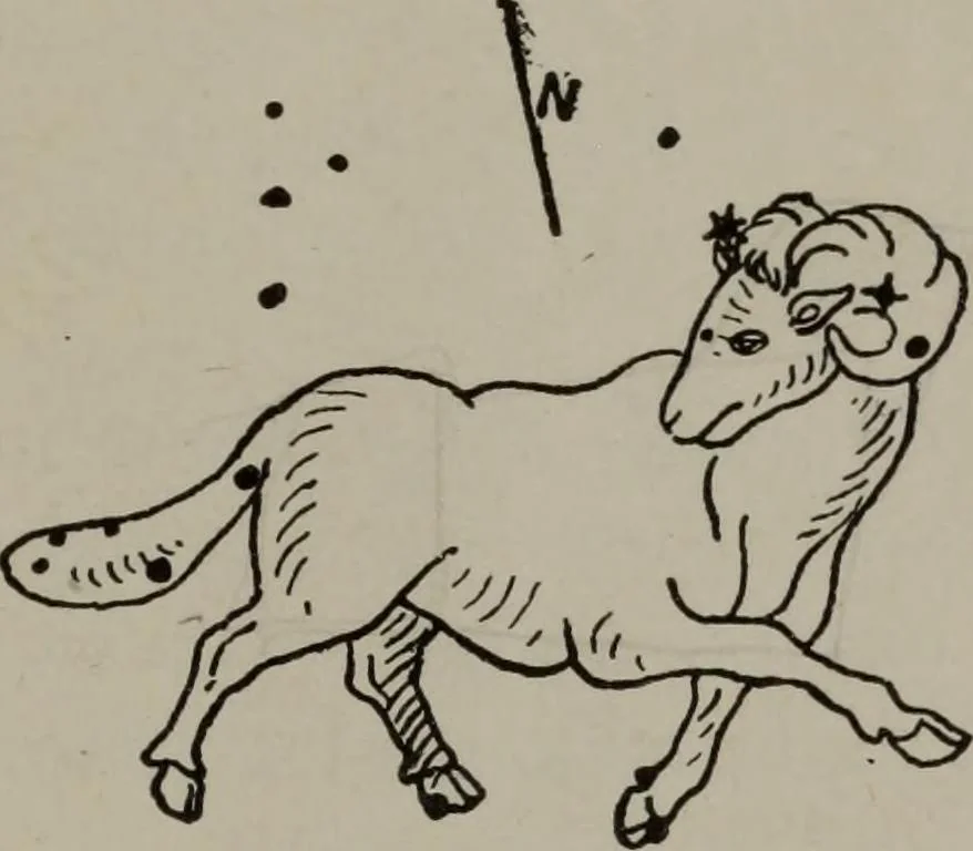 An illustration from Practical astrology : a simple method of casting horoscopes : and language of the stars easily comprehended, 1901, leaf 30
