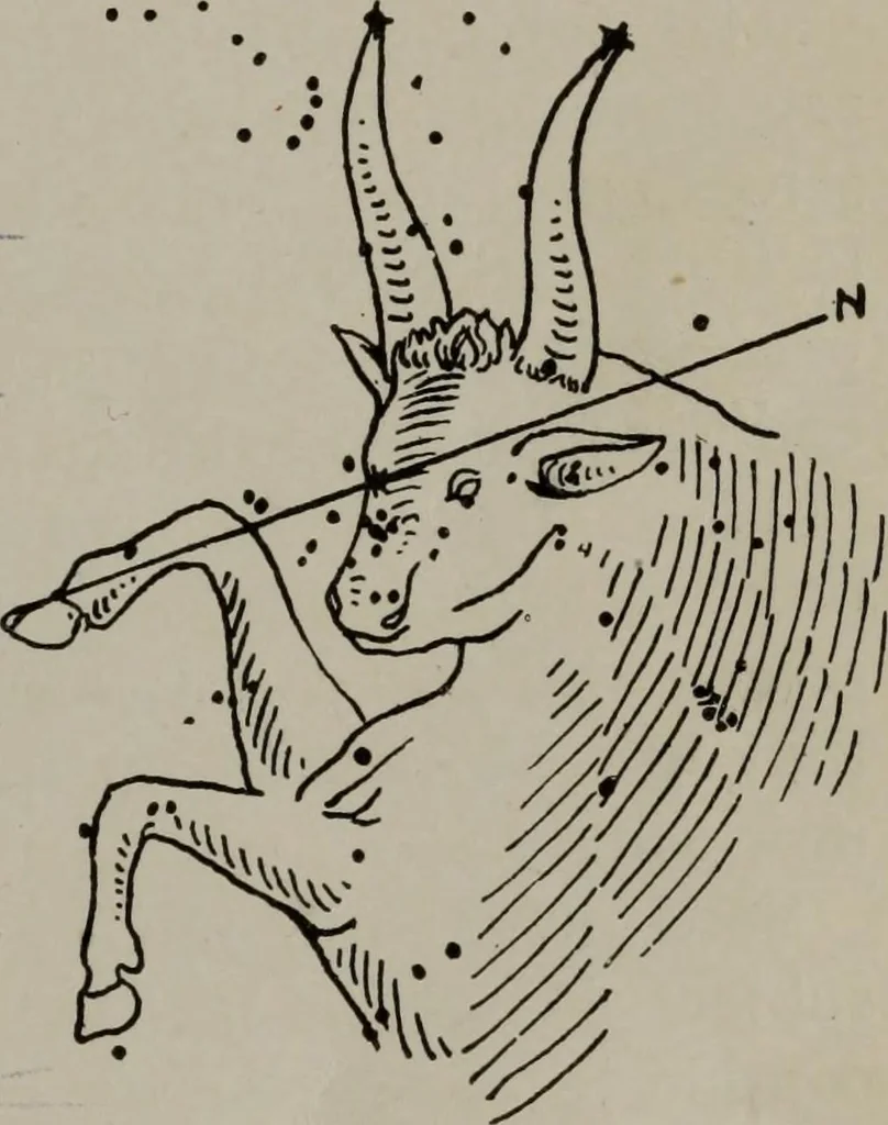 An illustration from Practical astrology : a simple method of casting horoscopes : and language of the stars easily comprehended, 1901, leaf 34