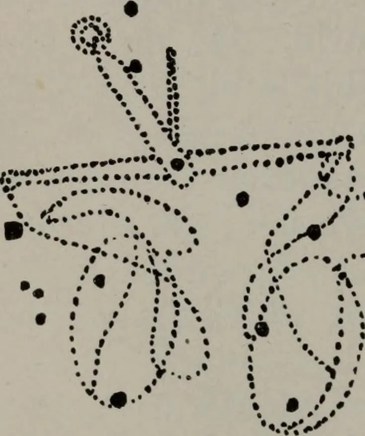 An illustration from Practical astrology : a simple method of casting horoscopes : and language of the stars easily comprehended, 1901, leaf 57