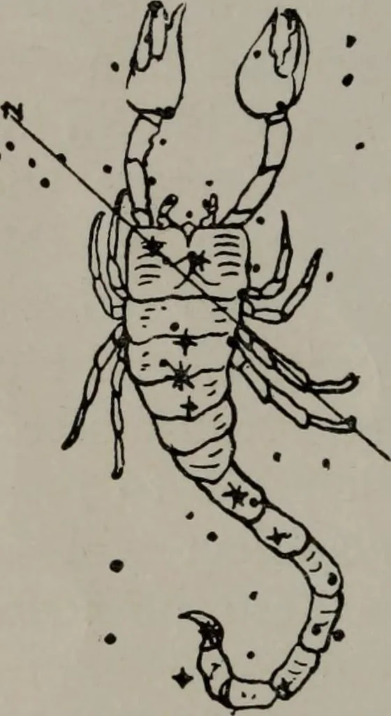 An illustration from Practical astrology : a simple method of casting horoscopes : and language of the stars easily comprehended, 1901, leaf 61