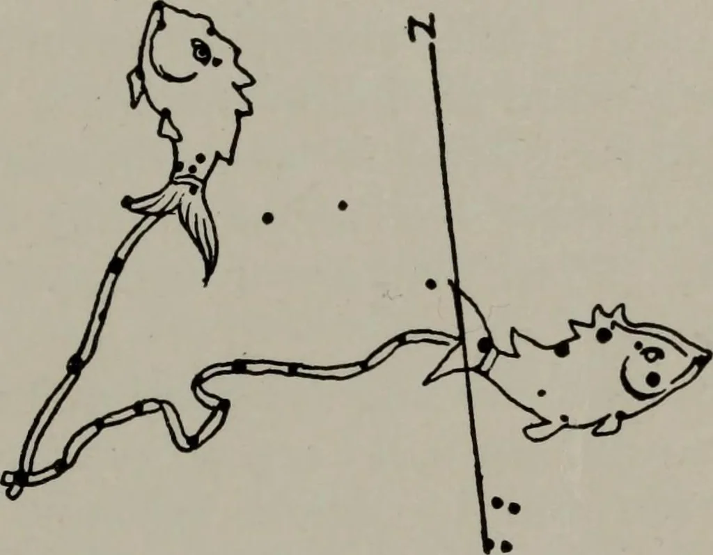 An illustration from Practical astrology : a simple method of casting horoscopes : and language of the stars easily comprehended, 1901, leaf 76