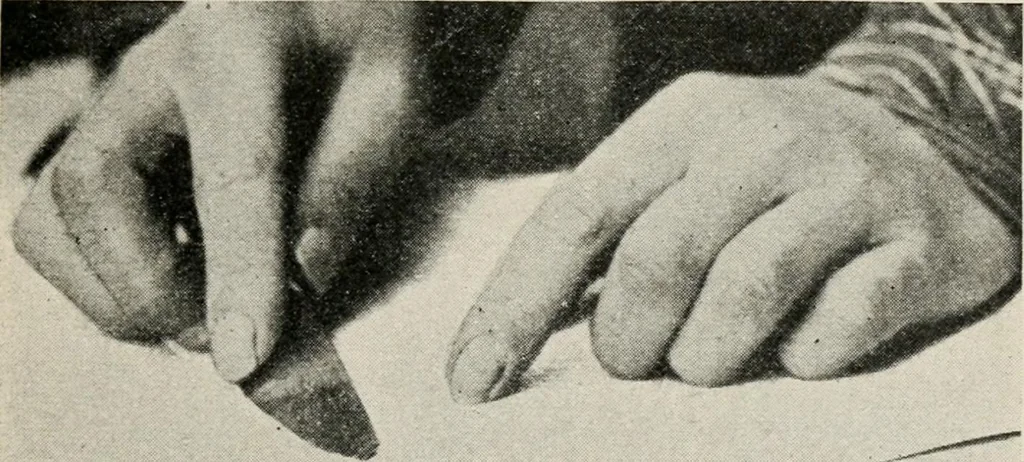 An illustration from Practical bookbinding : a text-book intended for those who take up the art of bookbinding, and designed to give sufficient help to enable handy persons to bind their books and periodicals, 1908, leaf 20