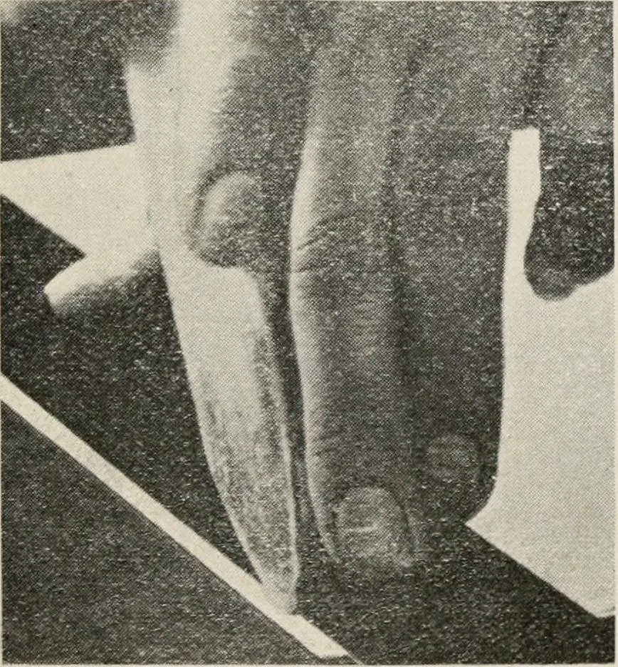 An illustration from Practical bookbinding : a text-book intended for those who take up the art of bookbinding, and designed to give sufficient help to enable handy persons to bind their books and periodicals, 1908, leaf 32